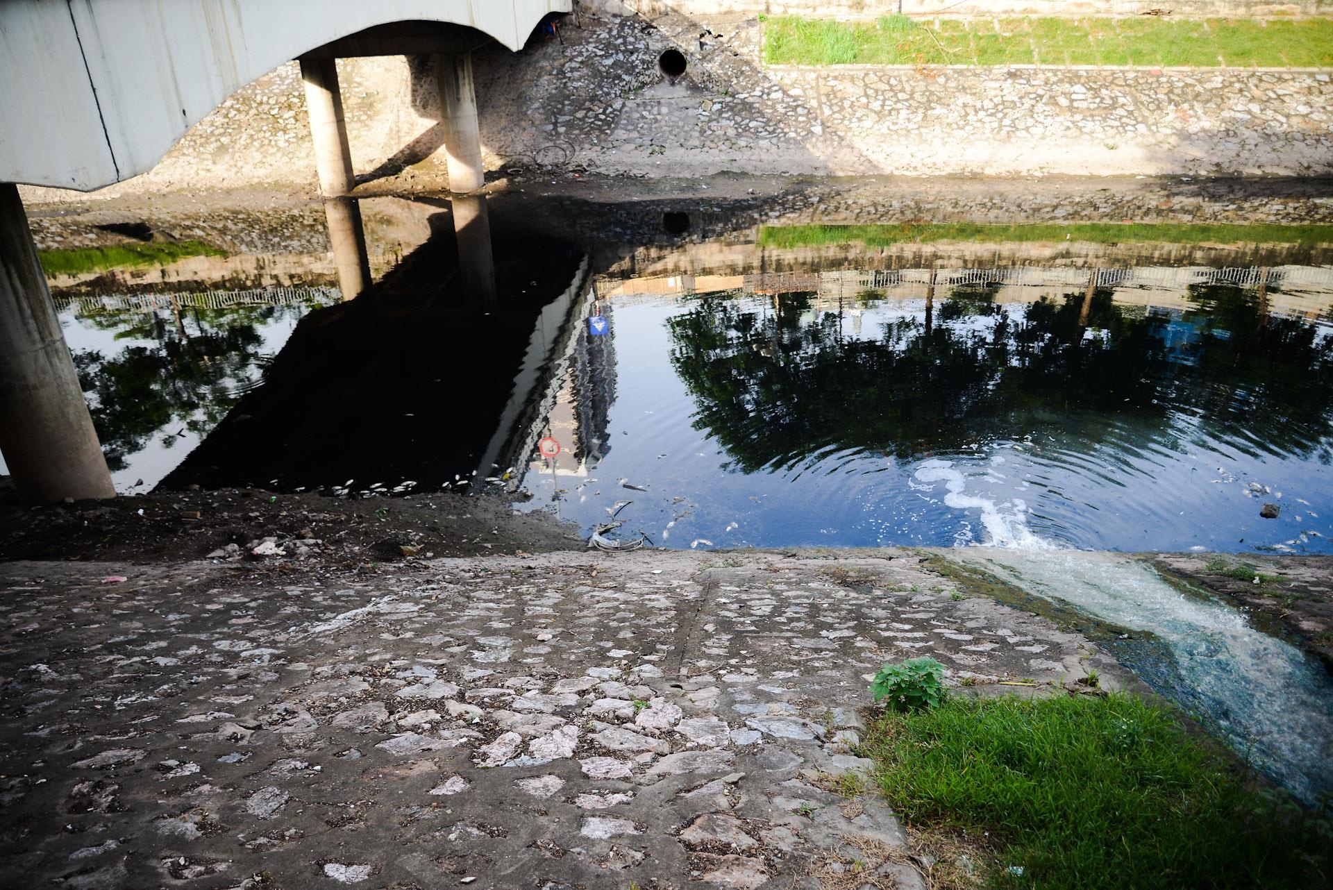 cá chết sông Tô Lịch ảnh 5 ca chet song To Lich anh 5