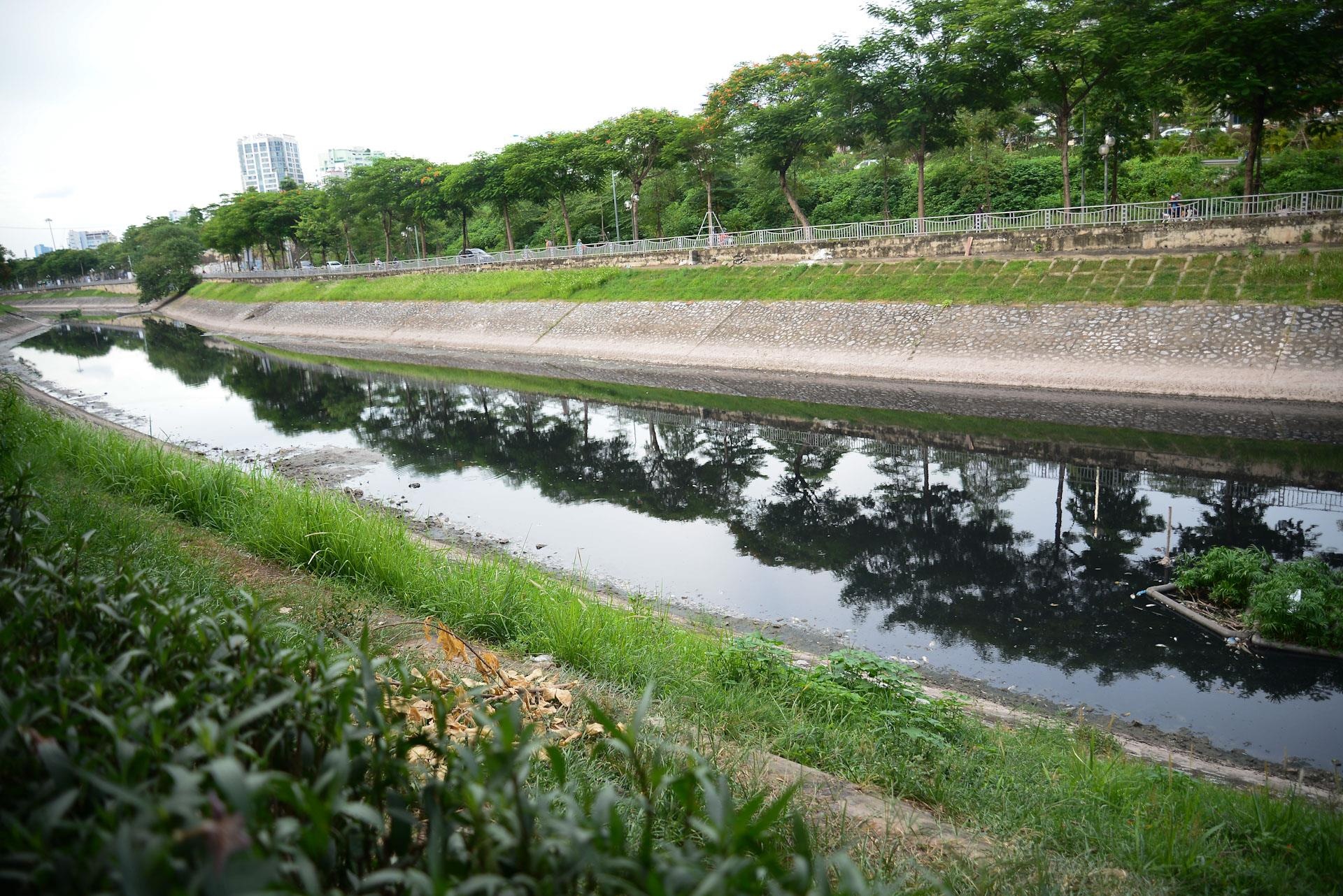 cá chết sông Tô Lịch ảnh 8 ca chet song To Lich anh 8