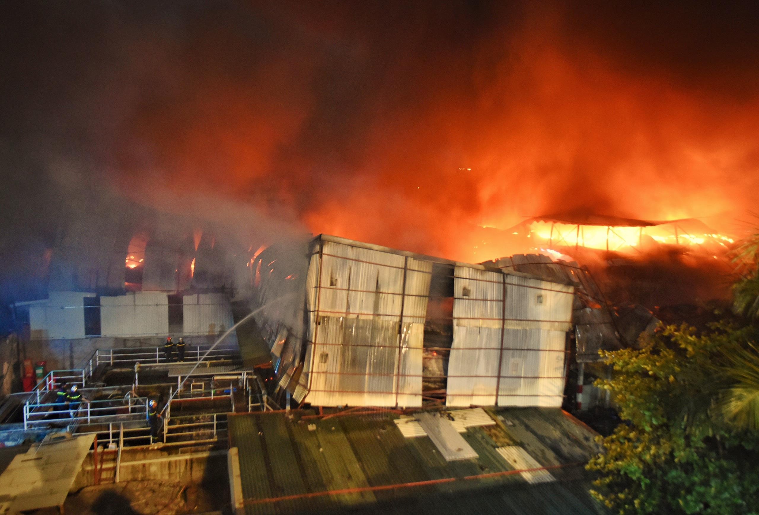 chay cong ty Rang Dong,  bong den Rang Dong chay anh 1