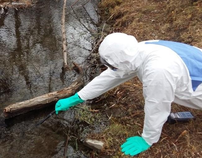 To chuc Y te The gioi canh bao gi ve nhiem doc thuy ngan? hinh anh