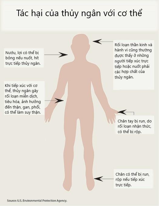 WHO cảnh báo về thủy ngân, cháy thủy ngân Rạng Đông ảnh 2 WHO canh bao ve thuy ngan, chay thuy ngan Rang Dong anh 2