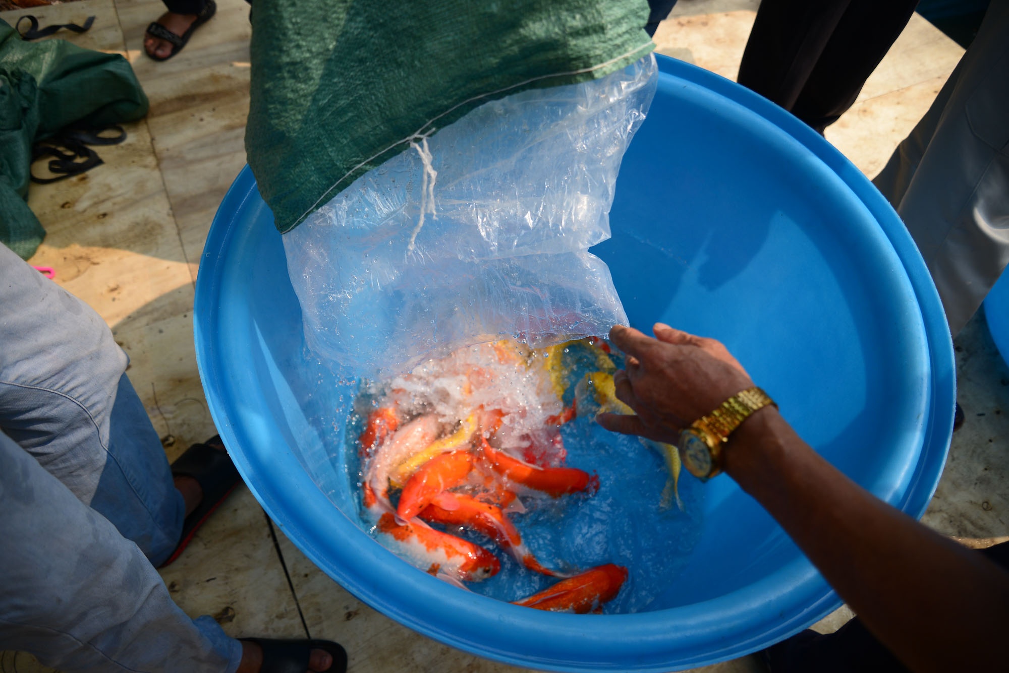 lam sach song To Lich cong nghe Nhat anh 6