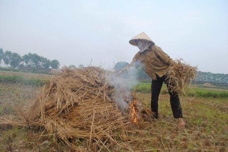 Ha Noi noi o nhiem khong khi bao dong la do dot rom ra hinh anh