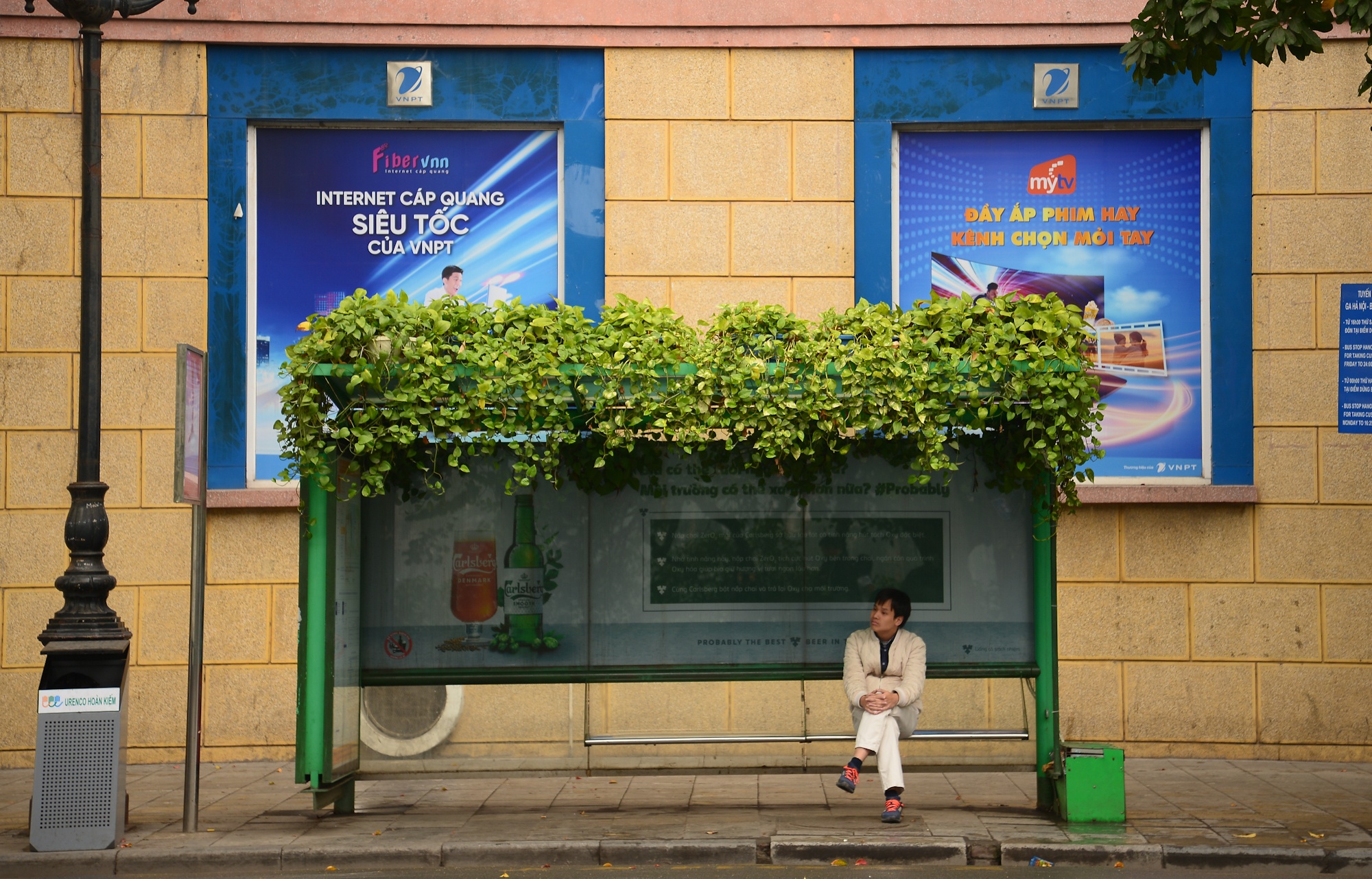 Ha Noi trong hoa trang tri Tet 2020 anh 7