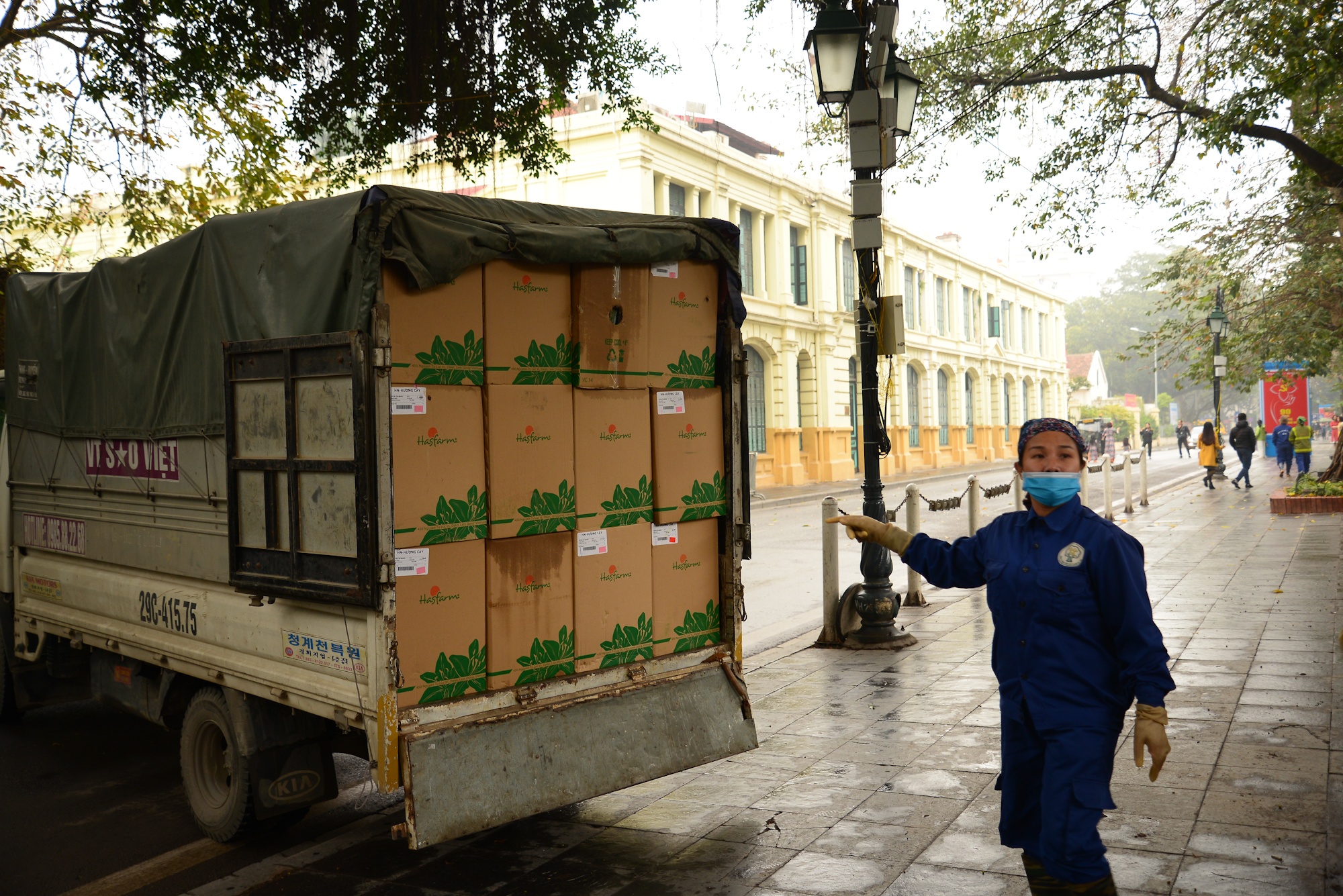 Ha Noi trong hoa trang tri Tet 2020 anh 2