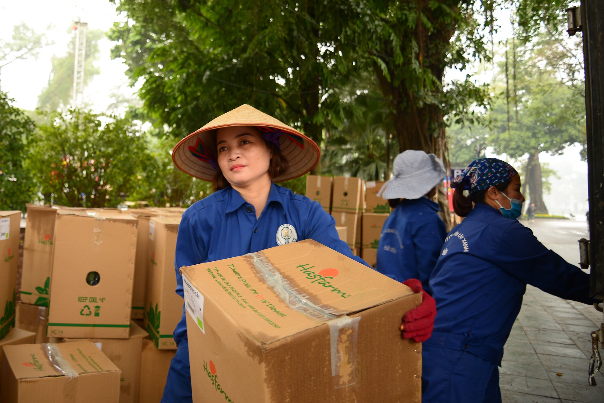 Ha Noi trong hoa trang tri Tet 2020 anh 4