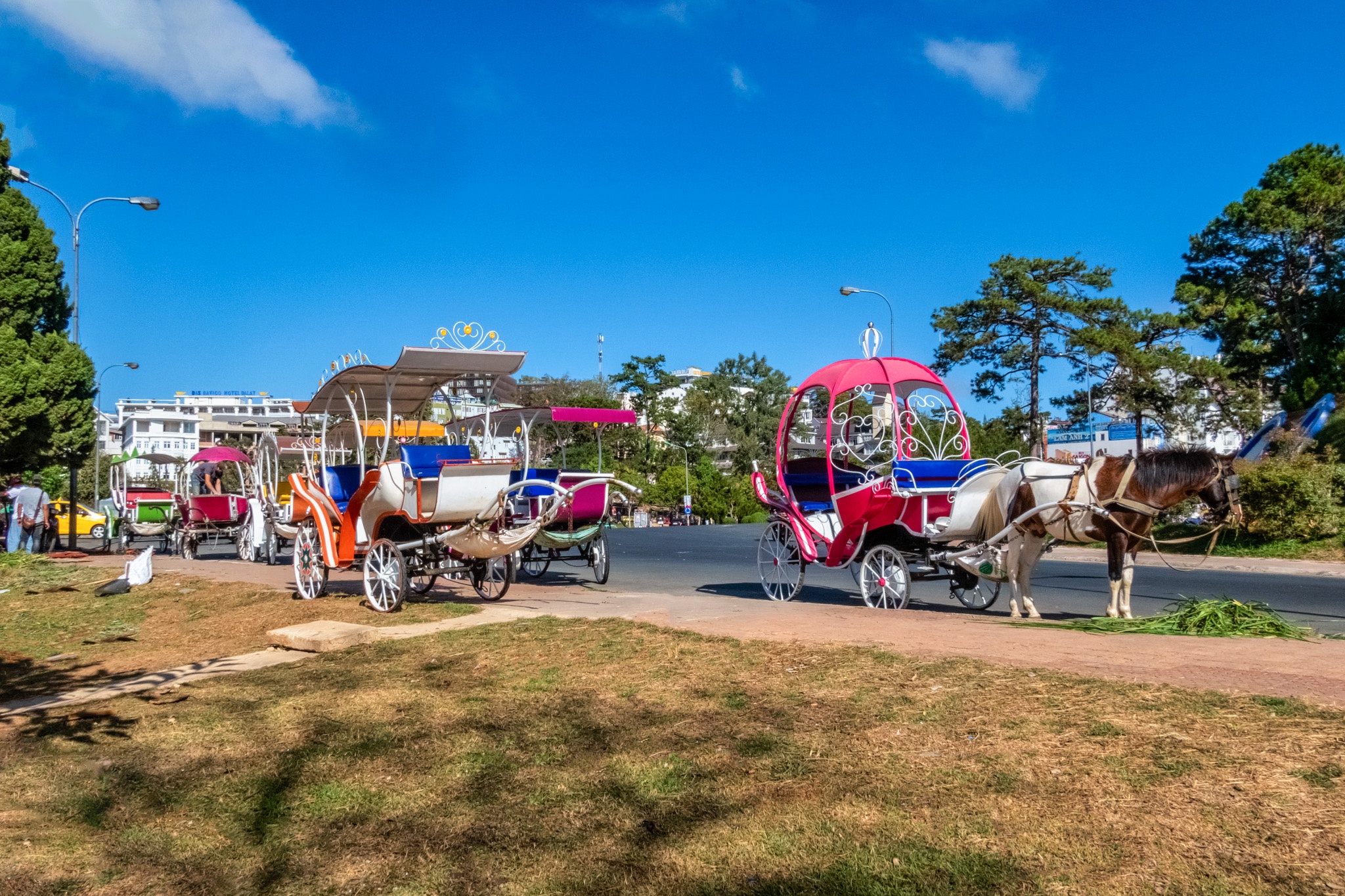 Da Lat vang khach du lich thoi corona anh 5