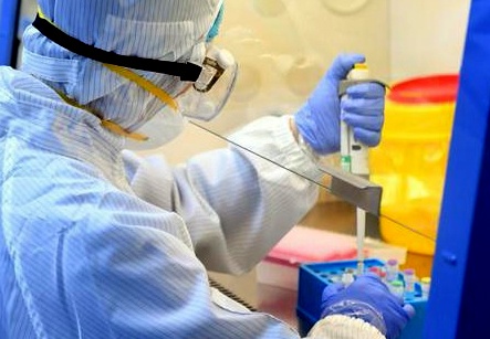 Hai Phong ly giai viec so luong F0 chenh lech giua TP va Bo Y te hinh anh