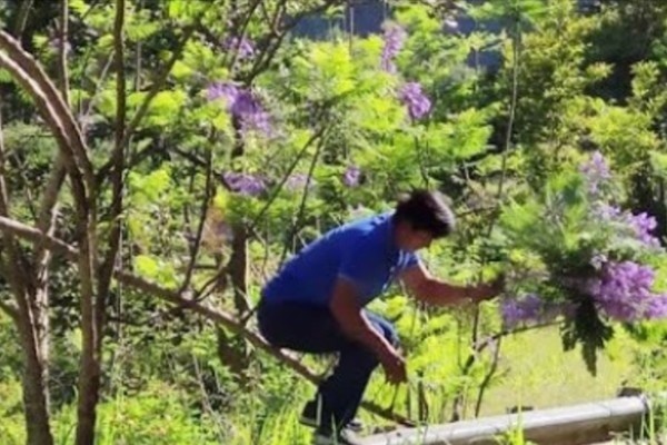 Nguoi dan ong be phuong tim Da Lat hinh anh