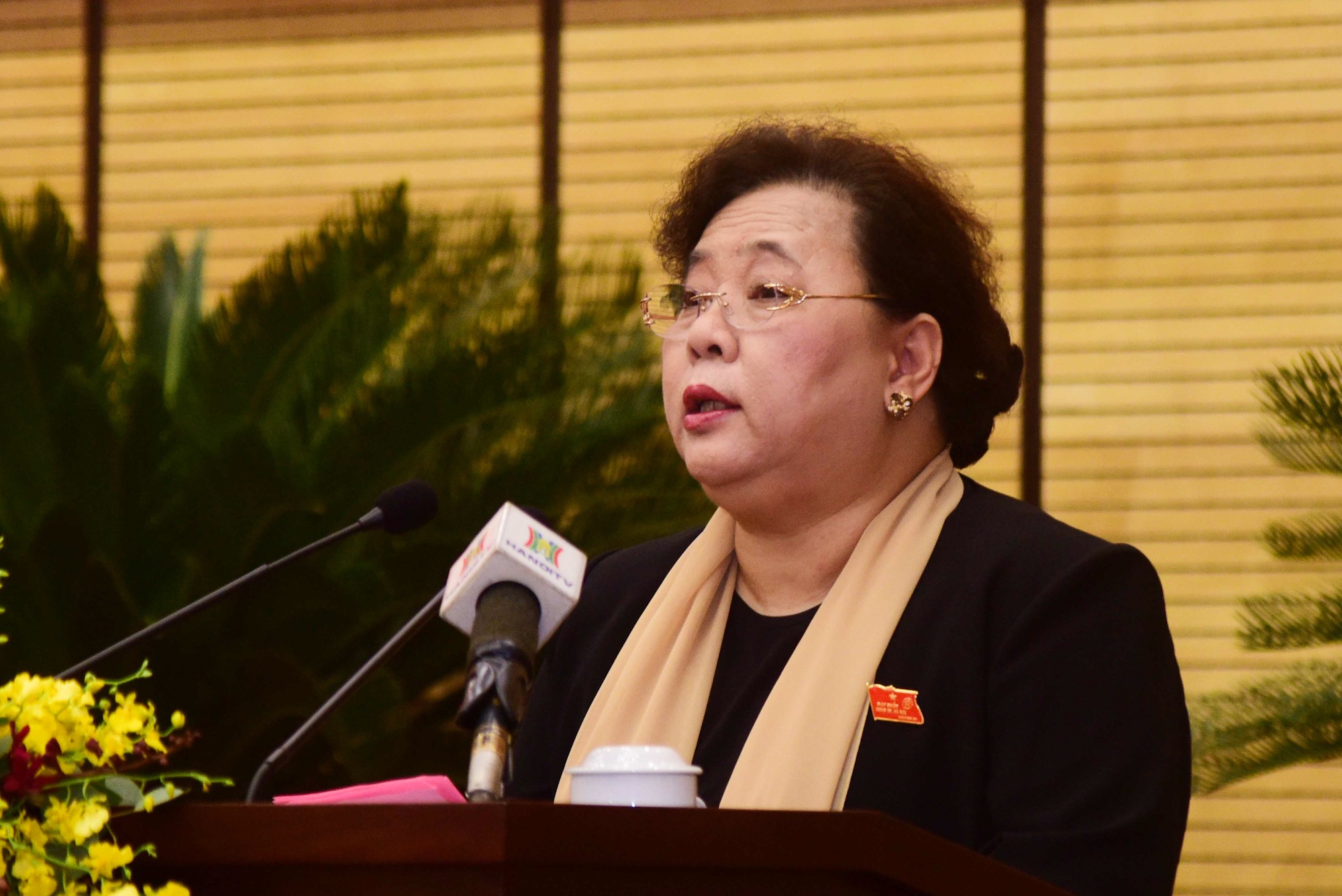 HDND Ha Noi thao luan ve muc ho tro sau dich Covid-19 hinh anh