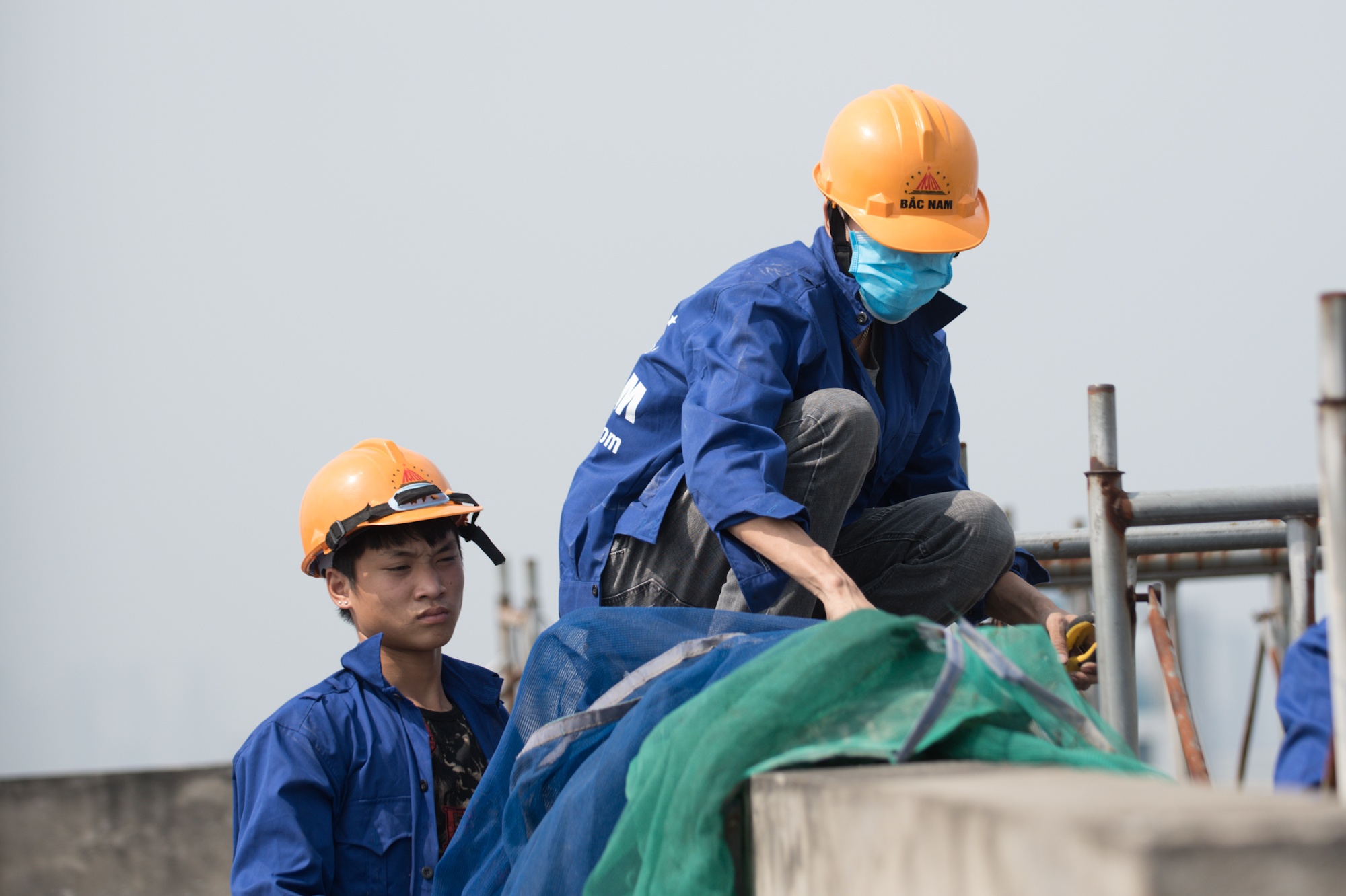 cat ngon 8B Le Truc anh 1