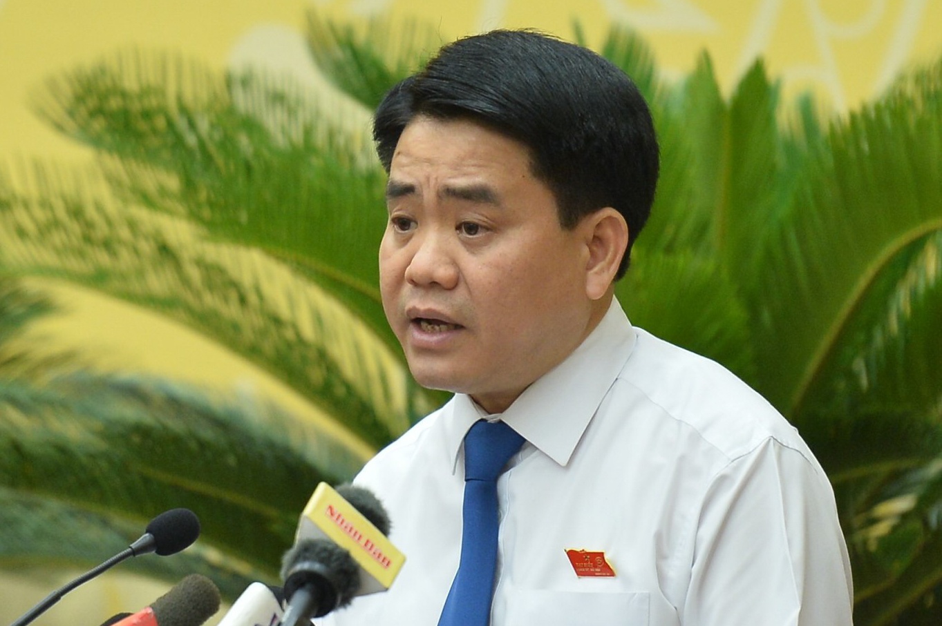 Chu tich Ha Noi: Tang cuong giam sat linh vuc de phat sinh tieu cuc hinh anh