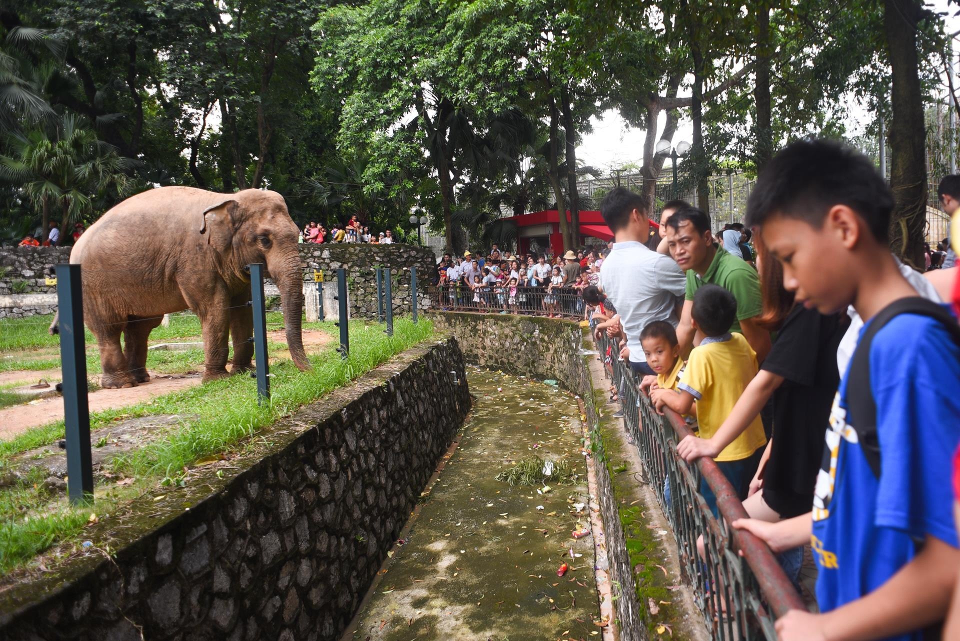 Ha Noi len ke hoach cai tao vuon thu Cong vien Thu Le hinh anh