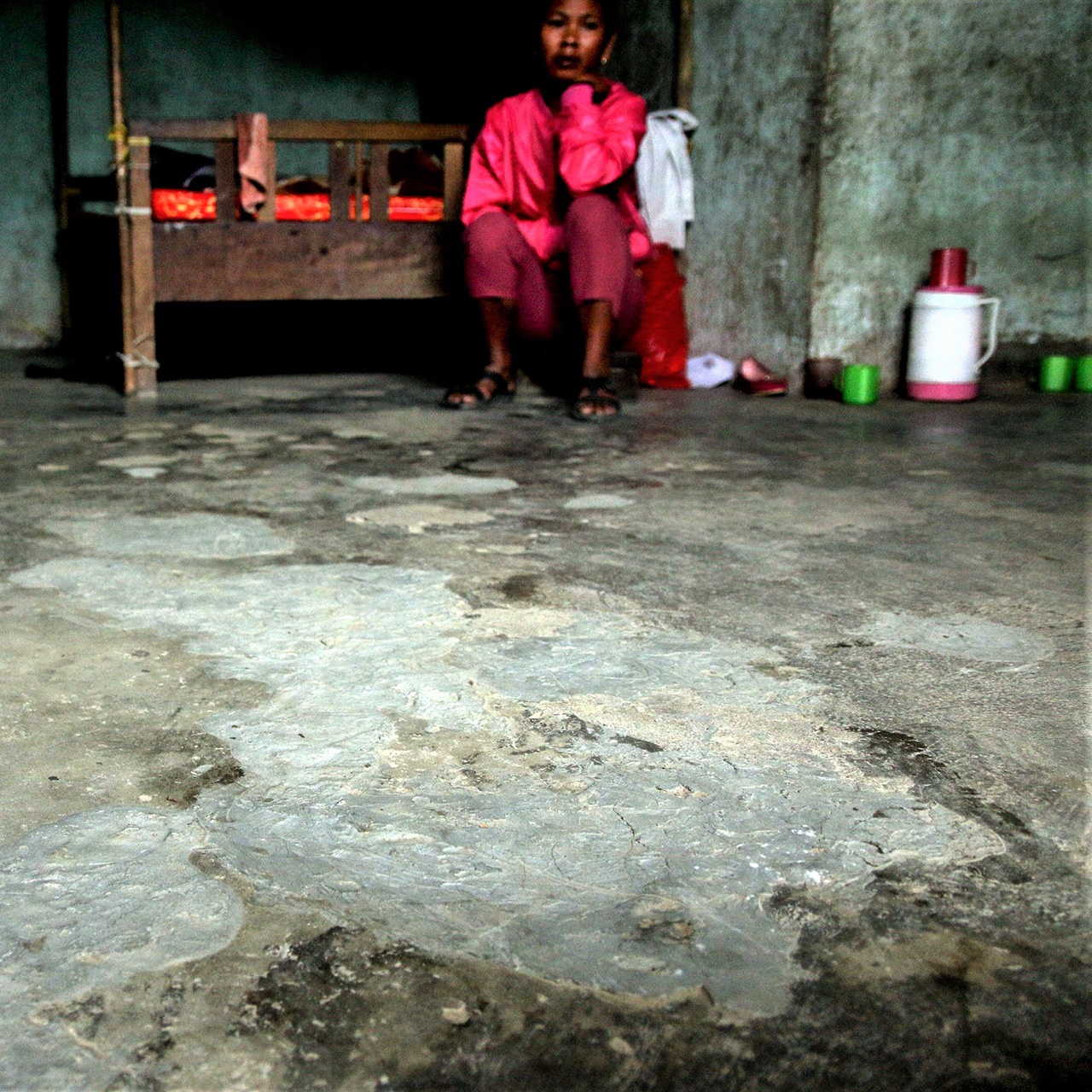 Nghe An xay chuong bo 200 trieu anh 1