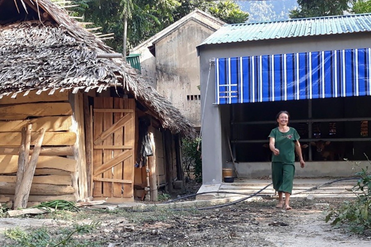 'Phan dau mai khong xay duoc nha dep nhu chuong bo' hinh anh
