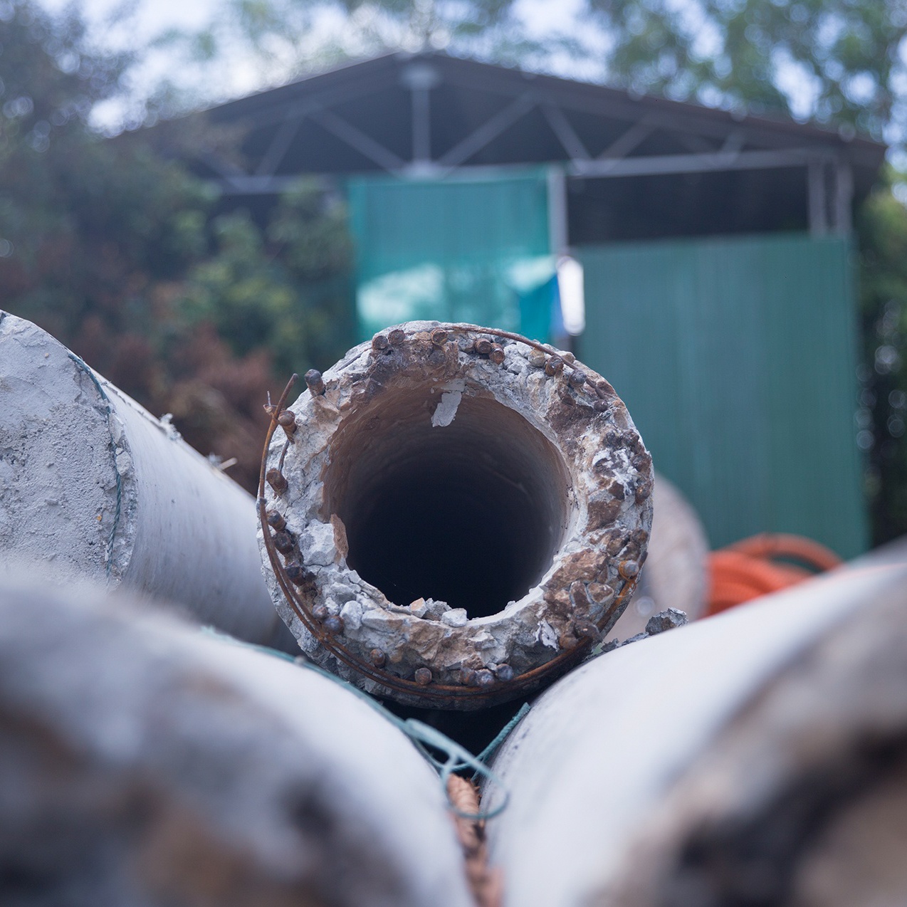 thanh tra toan dien vu cot dien gay anh 1