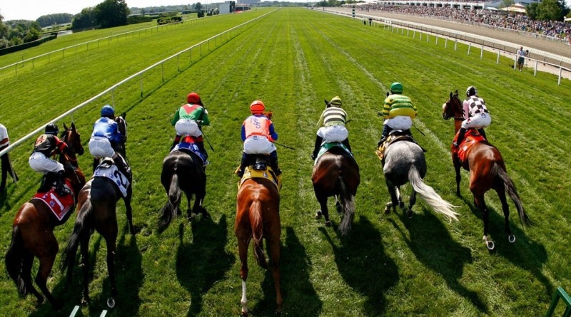 Ha Noi day nhanh tien do truong dua ngua o Soc Son hinh anh