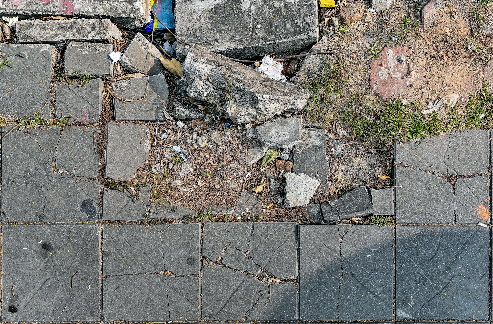 da lat he vo Ha Noi anh 6