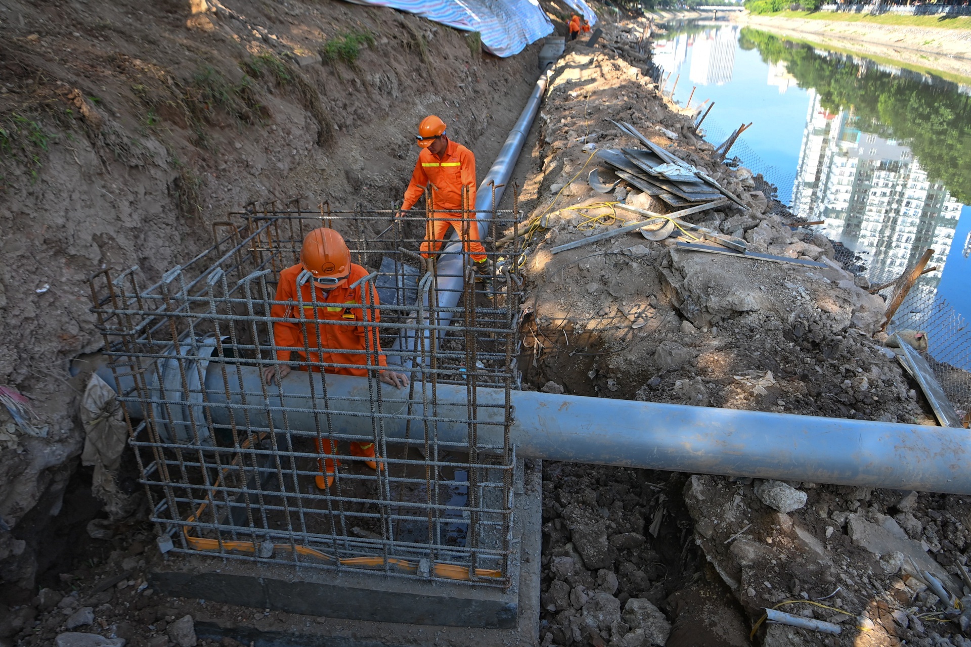 Hai phuong an hoi sinh song To Lich hinh anh