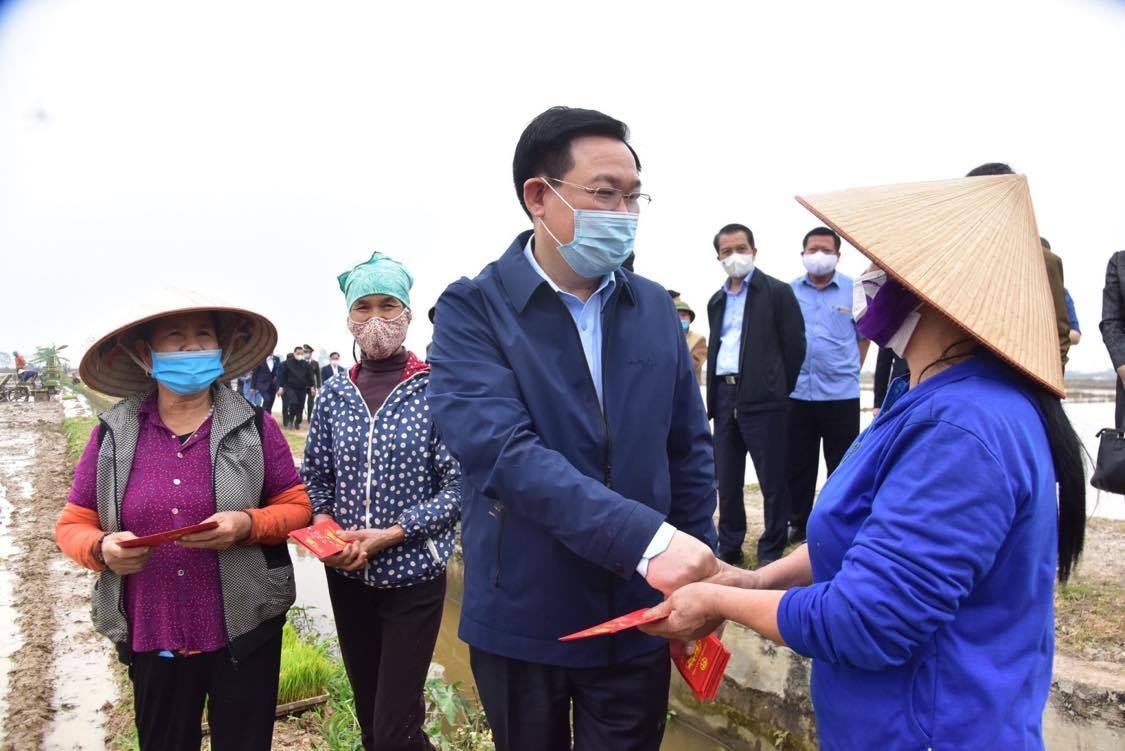 bi thu Ha Noi cay lua anh 2