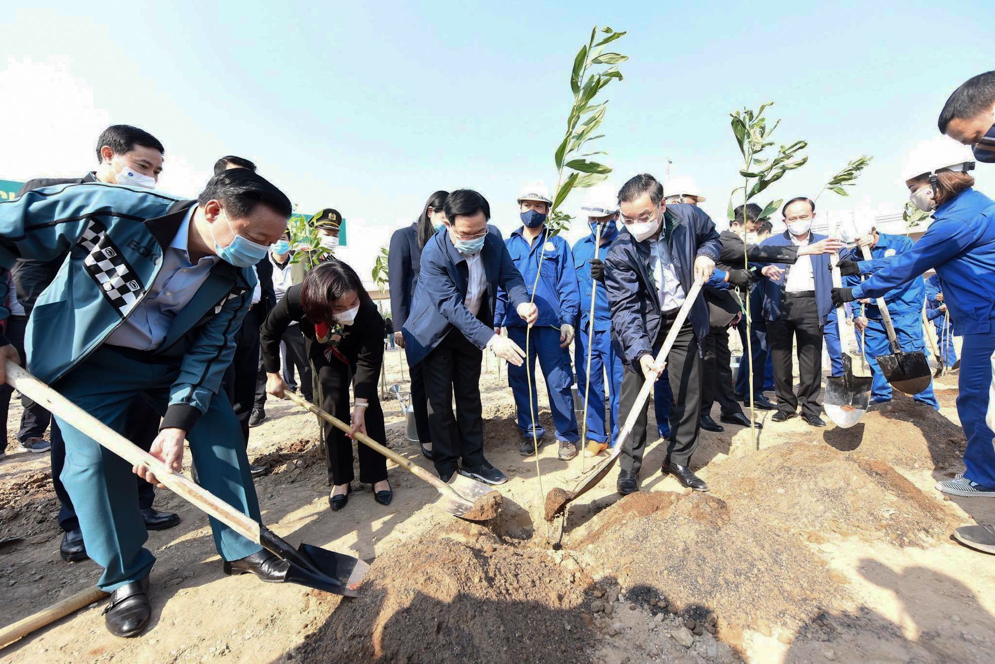 chuong trinh trong 1 ty cay xanh anh 1