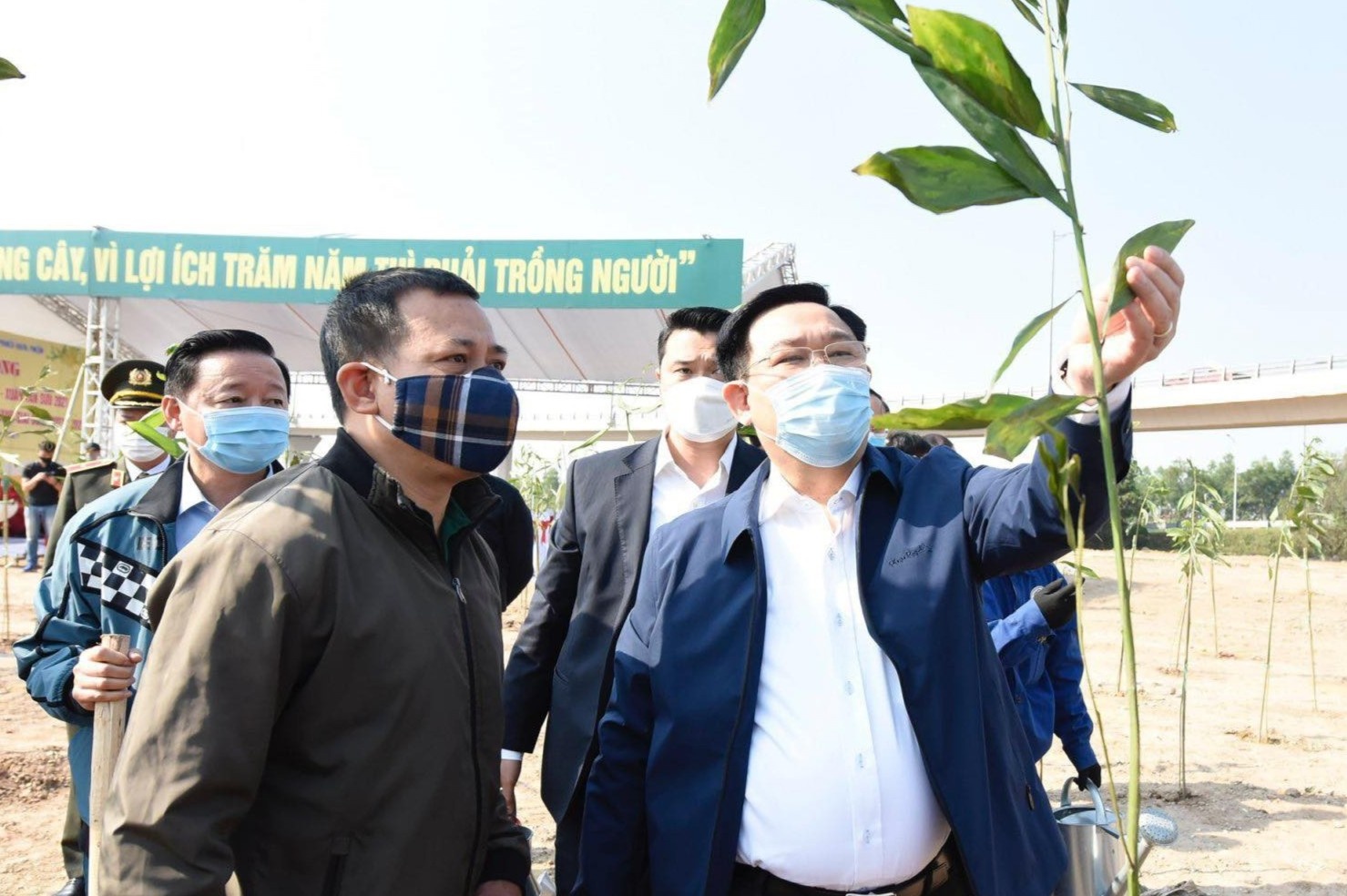 Bi thu Ha Noi huong ung chien dich mot ty cay xanh hinh anh