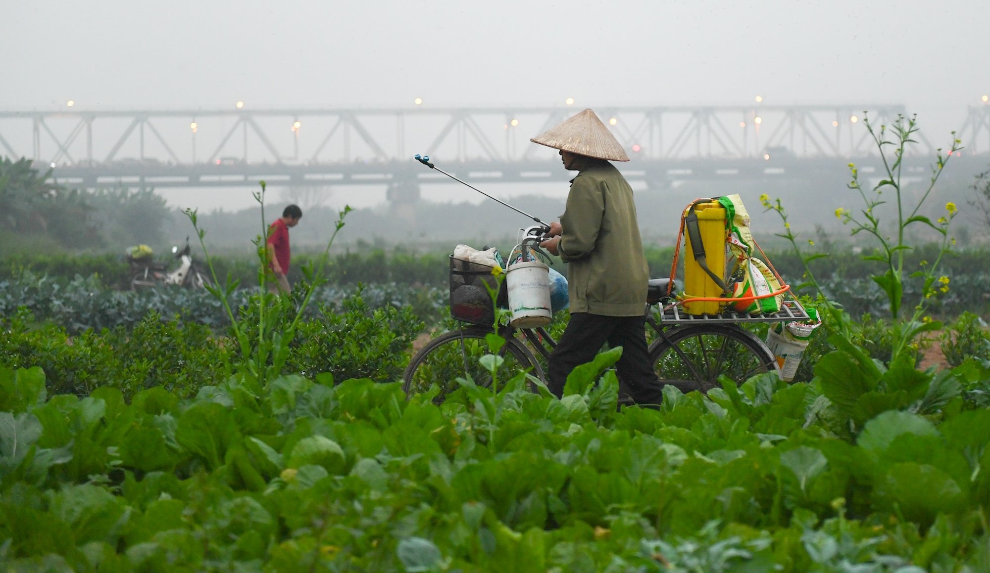 Quy hoach phan khu song Hong thanh do thi trung tam Ha Noi hinh anh