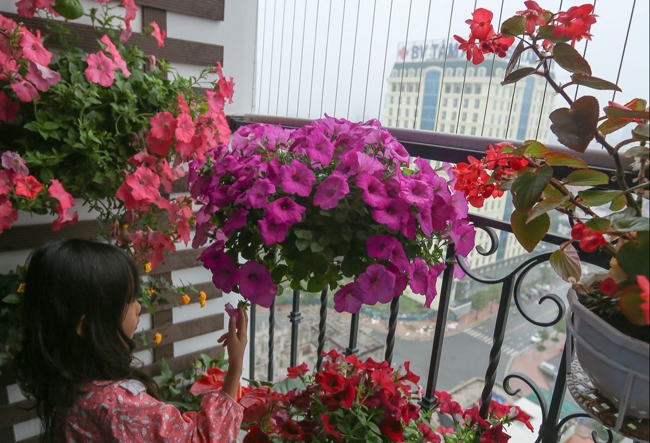 Lap luoi bao ve o ban cong chung cu cao tang the nao cho dung? hinh anh