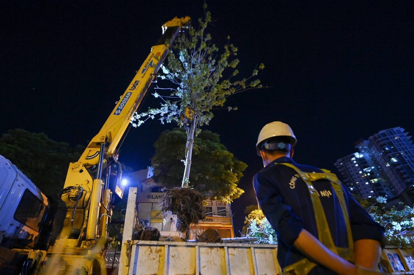 Ha Noi dung thi diem trong phong la do hinh anh