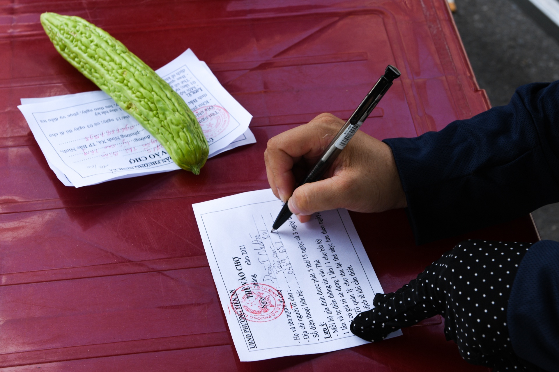 Bi thu Ha Noi yeu cau ap dung phieu di cho toan thanh pho hinh anh
