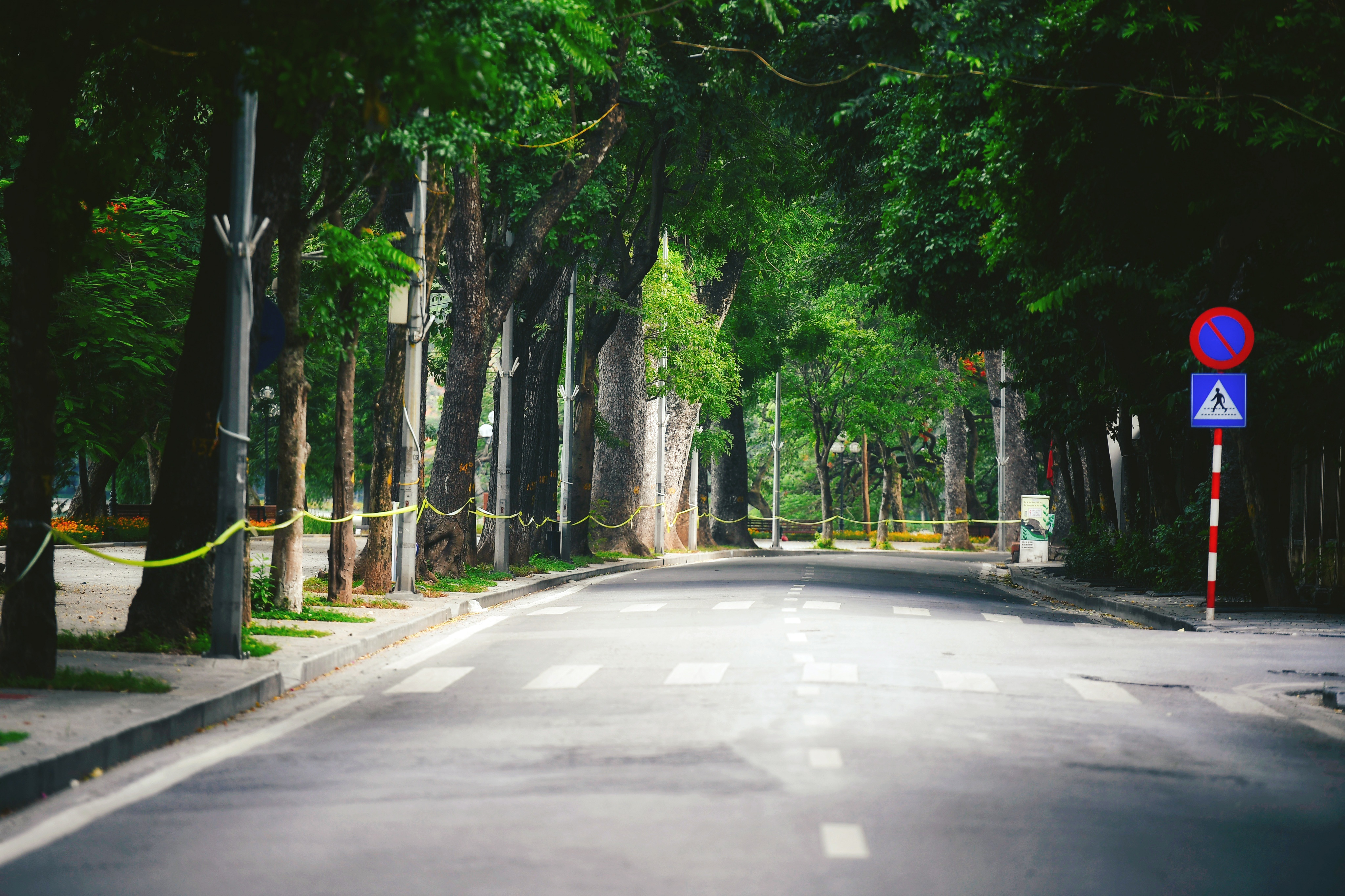 Bi thu Ha Noi: Gian cach la giai phap tot nhat luc nay hinh anh