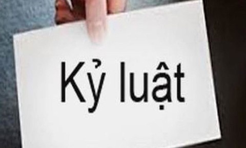 Canh cao Dang doan Hoi Chu thap do Viet Nam nhiem ky 2017-2022 hinh anh