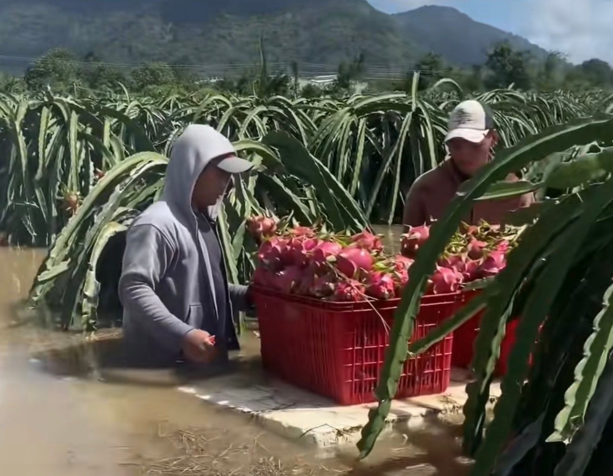 Hon 6.000 can nha anh 2