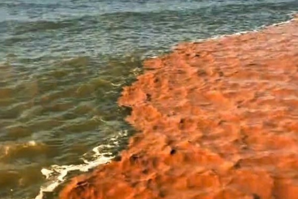 Hien tuong 2 mau nuoc ky la xuat hien tren vung bien Ca Mau hinh anh