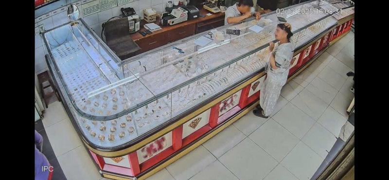 Nguoi giup viec,  Trom vang,  Chu nha anh 3