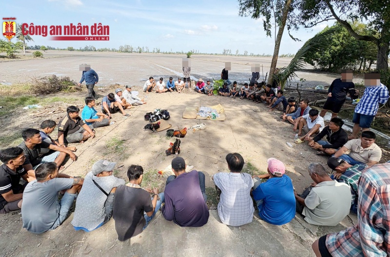 Triet pha truong ga anh 1