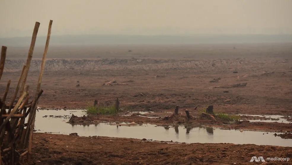 dat than bun o Dong Nam A bi huy hoai anh 2