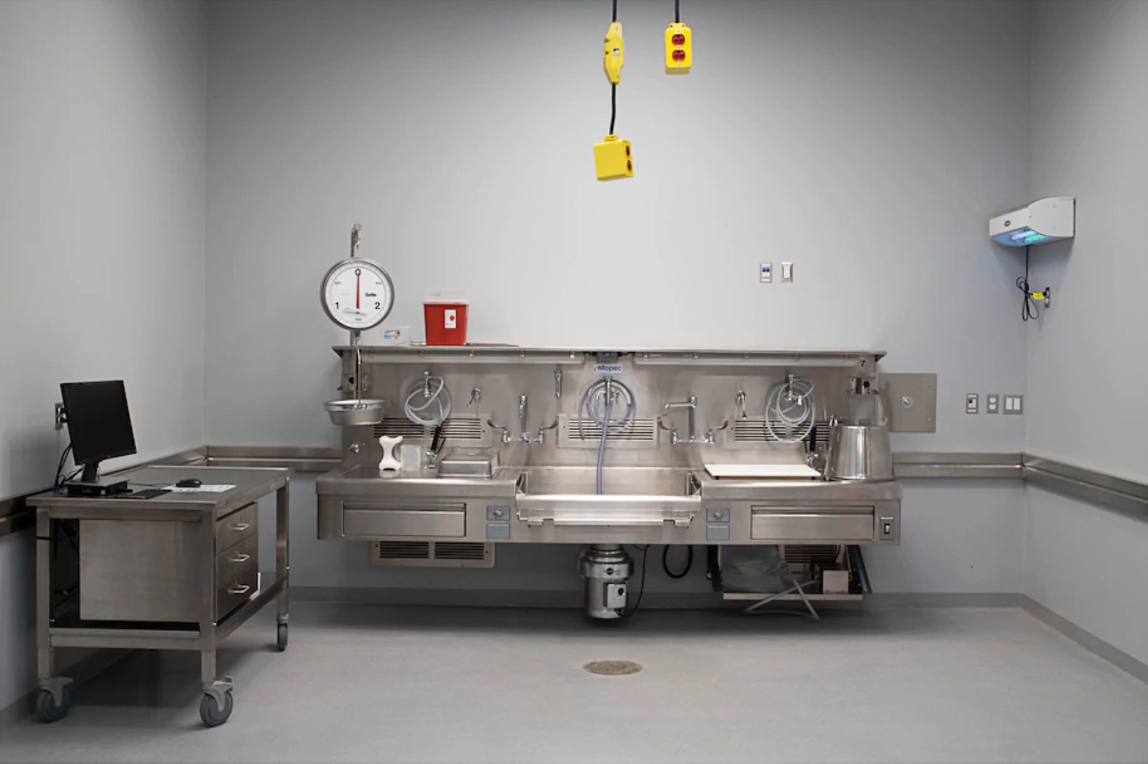 Covid-19 va cau chuyen cua 38 bo nao, 87 la phoi va 42 trai tim hinh anh