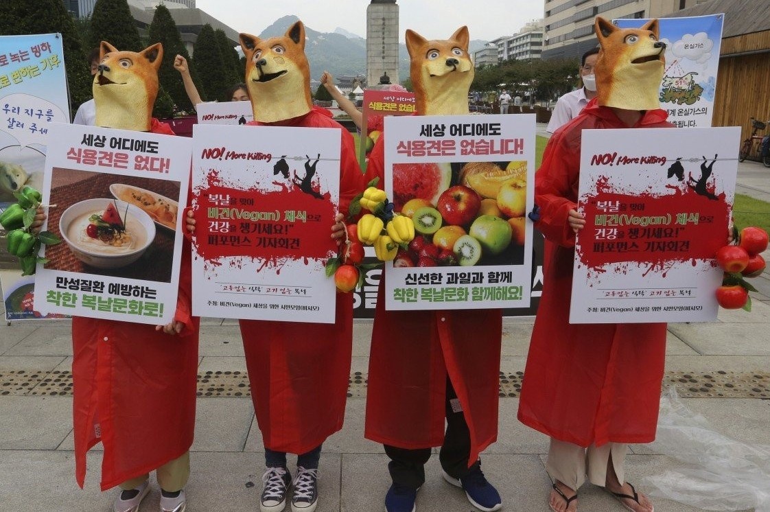 To chuc tang le gia de phan doi ‘ngay an thit cho’ o Han Quoc hinh anh