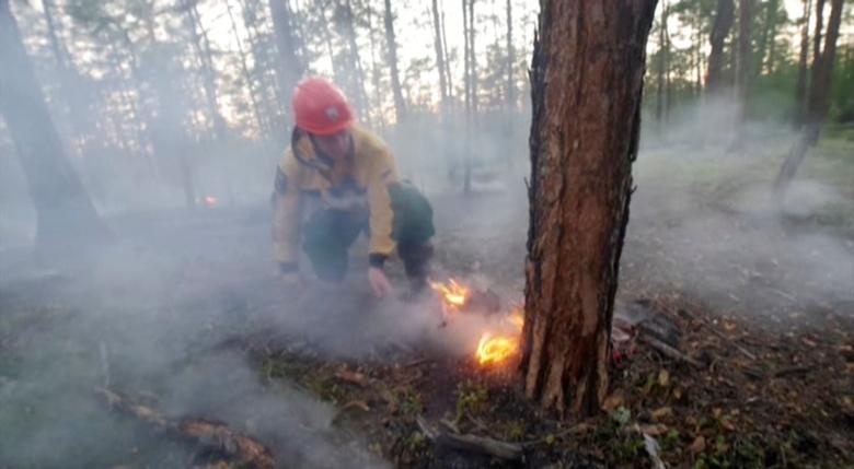 chay rung nghiem trong o siberia,  nga anh 11