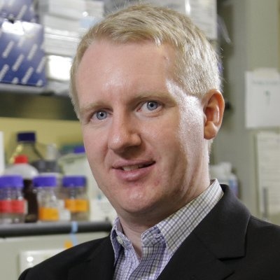 dot dich moi o hong kong anh 5