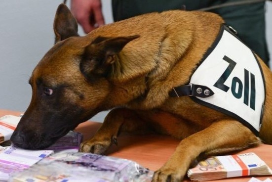 Cho nghiep vu Duc phat hien so tien mat khong lo bi giau kin hinh anh