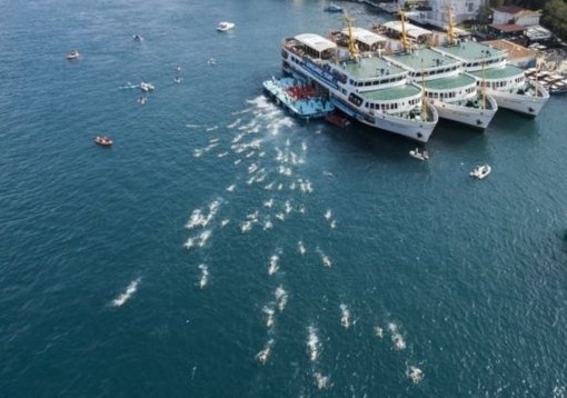 Hang tram nguoi tham gia boi giua hai chau luc A - Au hinh anh