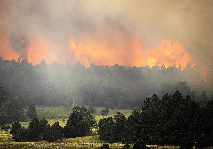 dang cong hoa bao ve canh sat anh 3