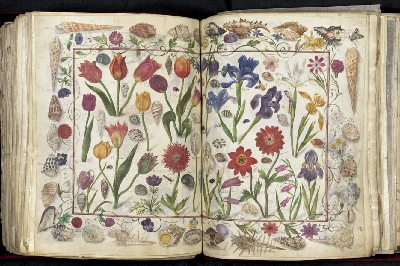 Thu vien Duc mat 3,3 trieu USD de mua cuon sach co hinh anh