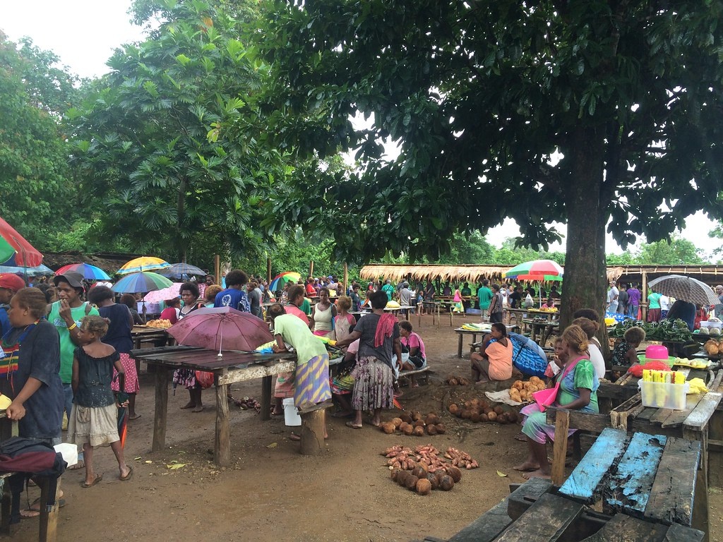 chuyen bay cho nguoi Trung Quoc nhap canh Solomon anh 3