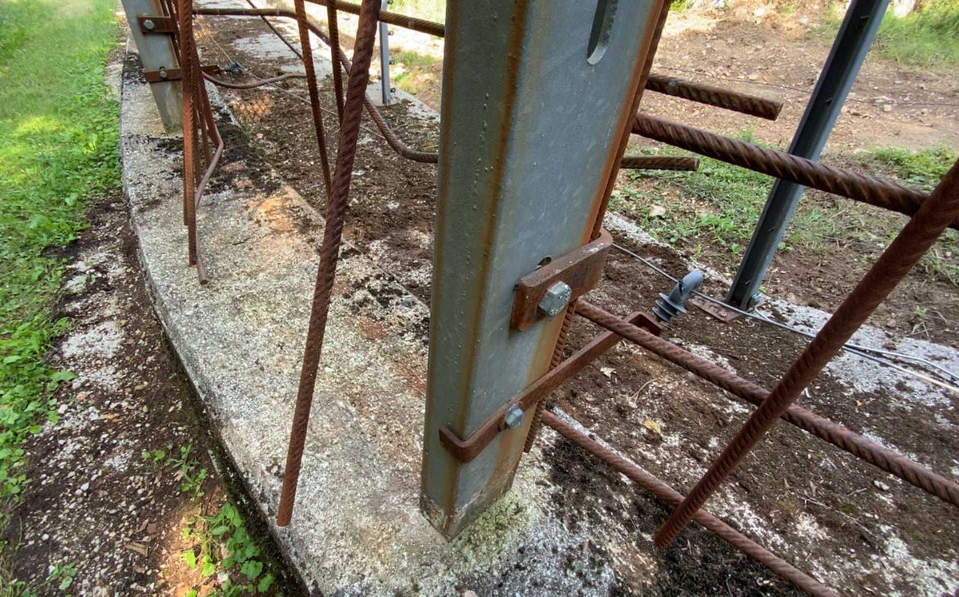 gau vuot nguc lam day song du luan Italy anh 4