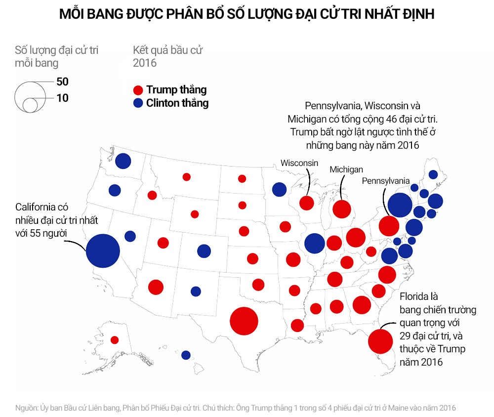 vai tro cua phieu dai cu tri anh 3
