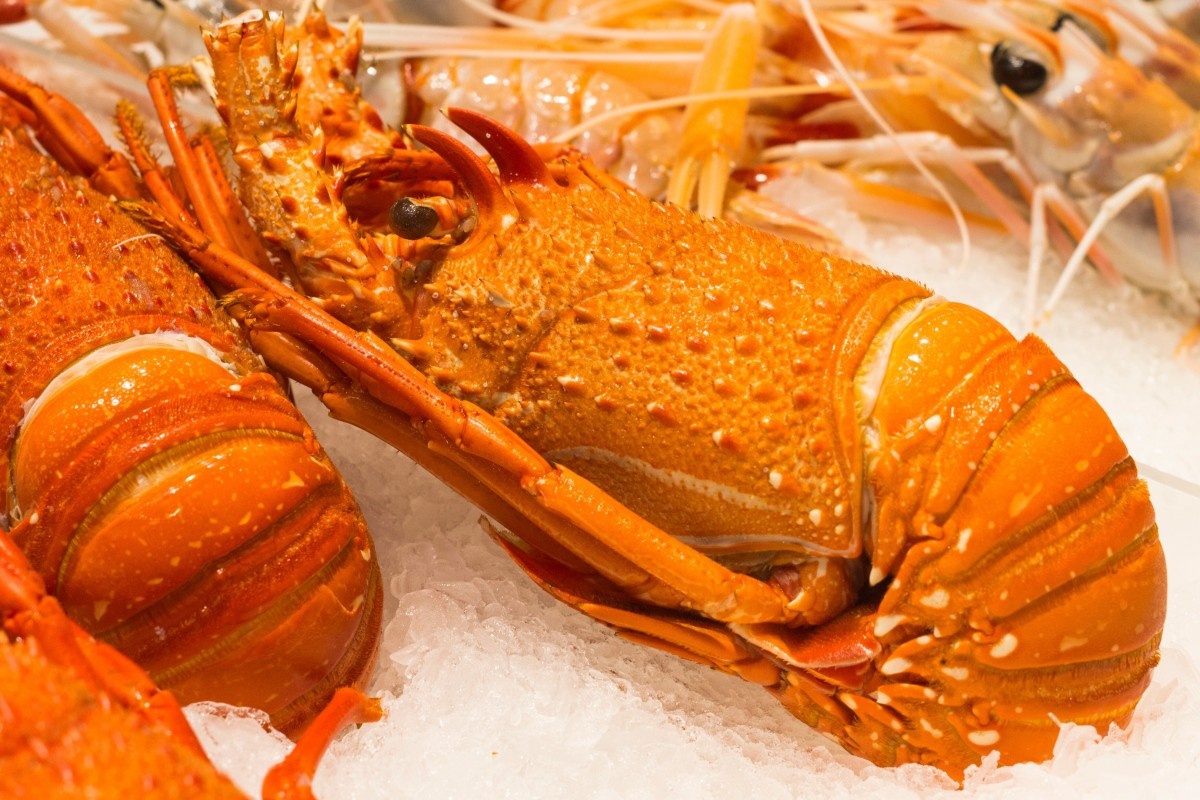 Vi sao khong nen an tom hum vao dau nam moi? hinh anh