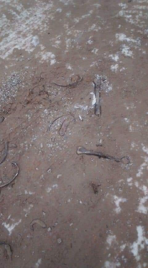 con duong xuong nguoi anh 2